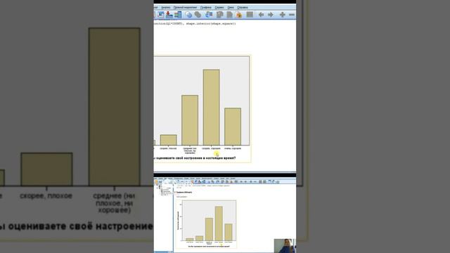17. Пример. Как получить на рисунка в SPSS подписи в процентах_ Какую кнопку нажать!_