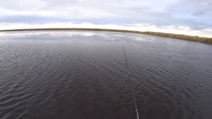 Рыбалка на МАЛАС из Китая. ЩУКА, жор.