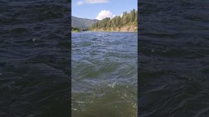 Сплав по Мане и Енисею, от п. Манский до Красноярска.