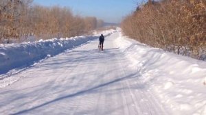 Нарты своими руками