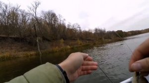 Окунь,судачек, чехонь на микроджиг) река Дон Воронежская обл.