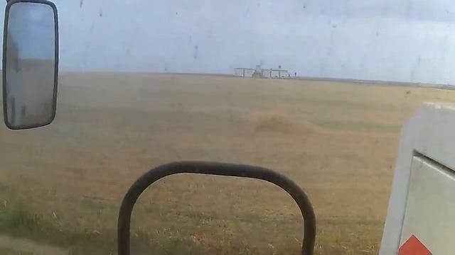 Подбор яр пшеницы хозяйство "СТЕПНОЕ" смотреть онлайн