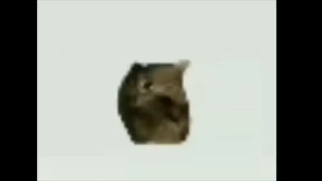 o ee aaa ee o ee aa ee [1 Hour] смотреть онлайн