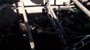 уборка картофеля картофелеуборочным комбайном Анна Z644 2020