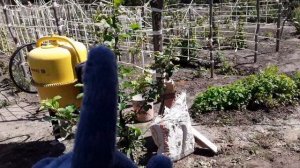 Отмостка вокруг дома своими руками