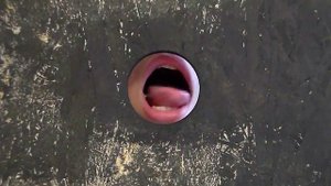 Glory Hole