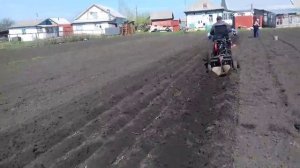 Минитрактор из мотоблока Ока посадка картофеля