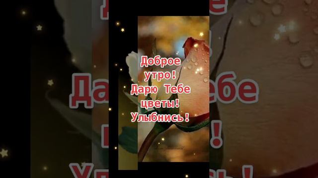 Доброе утро! #дарю #тебе #цветы #улыбнись #shortvideo