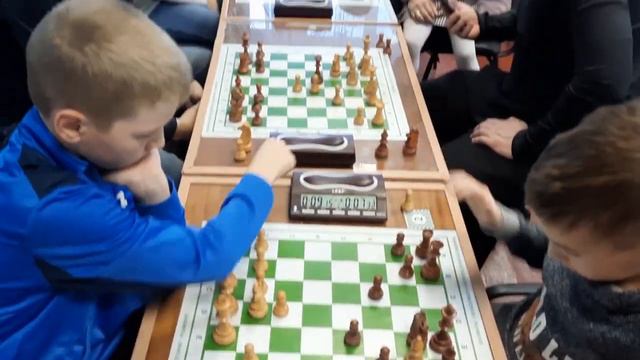 Шахматно-шашечная семья