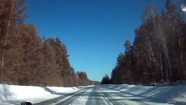Дорога в Сузун проходит через красивейший бор