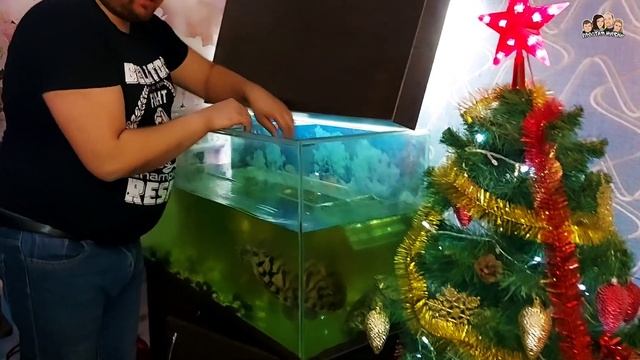 Как избавиться от зелёной воды в аквариуме//Лучший фильтр для красноухих черепах//Содержание черепа