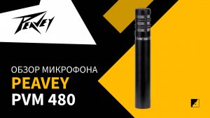 Обзор микрофона Peavey pvm480