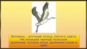 Презентация для дошкольников перелетные птицы осенью