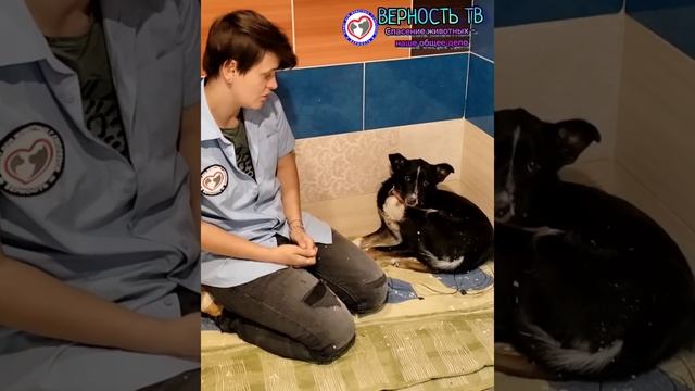 Варечка «без лица», но с друзьями. От полного ужаса, к постепенному восстановлению смотреть онлайн