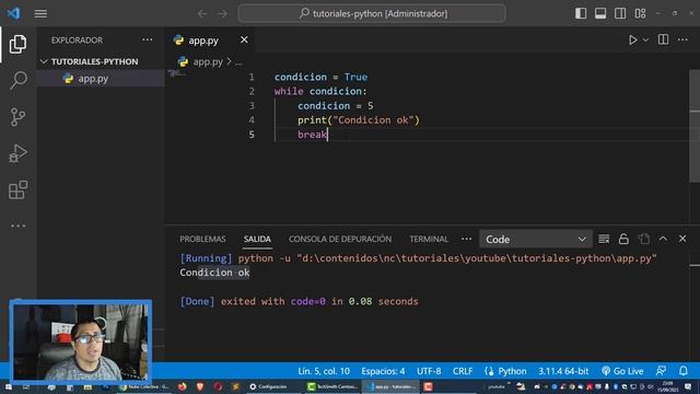 COMO HACER UN BUCLE DO WHILE EN PYTHON