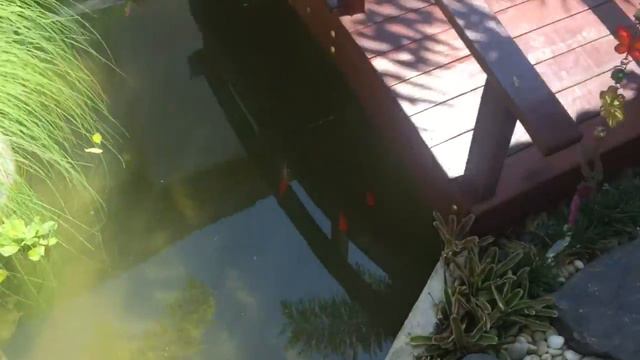 Cascades Resort Phuket смотреть онлайн