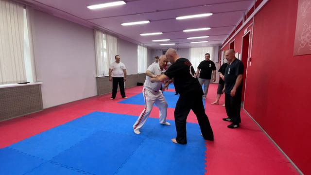 Ицюань Москва / Правка Сюаньфа в Туйшоу / Московская Школа Ицюань (19.06.22) #10 смотреть онлайн