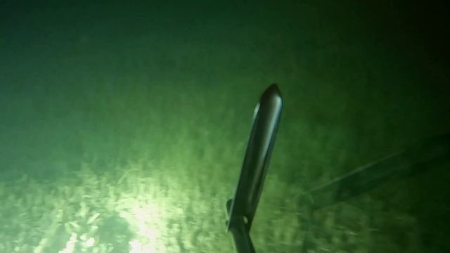 Первый выезд на подводную охоту в 2024г.