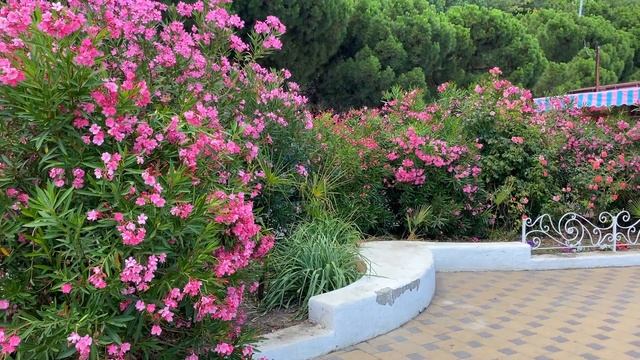 Все пляжи Алушты: Профессорский уголок, Центральный пляж и Восточная набережная. Обстановка в Крыму