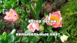 Сергей Чекалин — Ах, как цветут тюльпаны