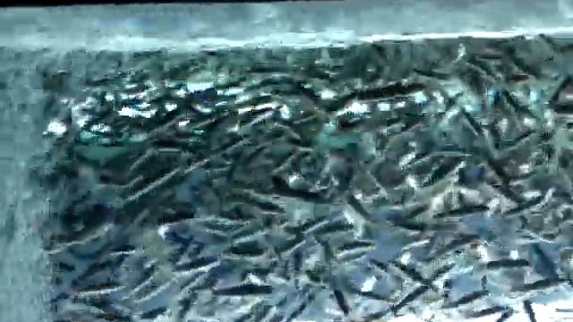 Гарра руфа смотреть онлайн