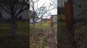 Купил дачу в СНТ . ОБЗОР , ЦЕНЫ В 2021 ГОДУ