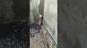 Стяжка стен треснувшего дома в Донецке!!!