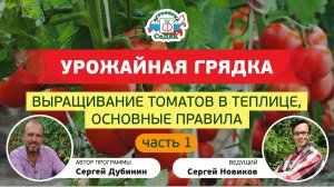 ВЫРАЩИВАНИЕ ТОМАТОВ В ТЕПЛИЦЕ, ОСНОВНЫЕ ПРАВИЛА, ч.1