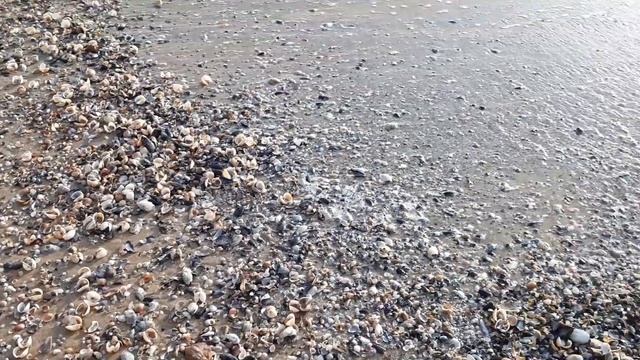 Лебедёвка!!!!Собираем рапаны после шторма!!Черное море!!! смотреть онлайн