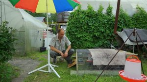 Куриный Трактор. Как сделать, летний переносной домик для цыплят ,своими руками.