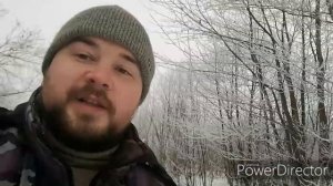 Ловля певчих птиц в туман, красавцы чижи. 11.01.2020