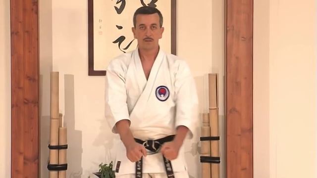 Wadoryu Kata Seishan by Roberto Danubio Sensei 7.Dan JKF of Wadokai смотреть онлайн