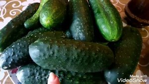 Стоит ли замораживать огурцы и для чего их использовать.