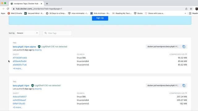 How to setup wordpress in Docker quick video tutorial смотреть онлайн