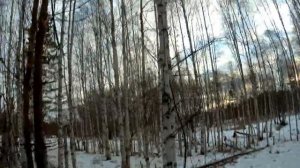 Охота на тетеревов! (осень2020г)