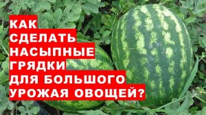 Как сделать насыпные грядки для большого урожая овощей в 2023  году?