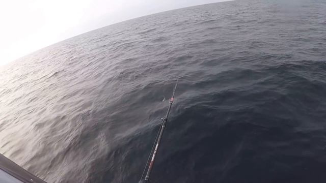 Ловля трески в заливе Петра Великого смотреть онлайн