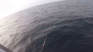 Ловля трески в заливе Петра Великого