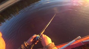 Территория Свободы | ХМАО | Рыбалка - Нижневартовский район река Вах, трофейная щука на 8.505кг...