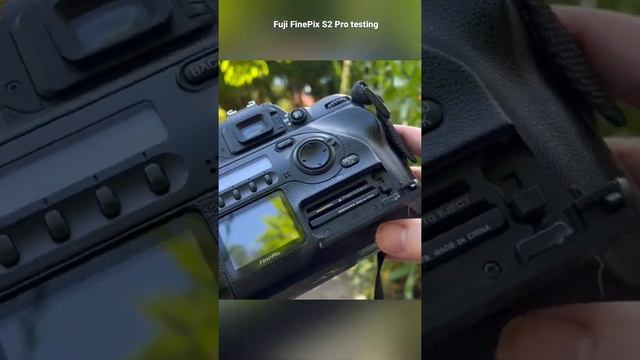 Fujifilm FinePix S2 Pro demo смотреть онлайн