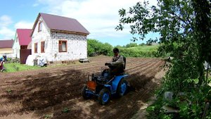 Окучивание картофеля. Ушастым окучником.