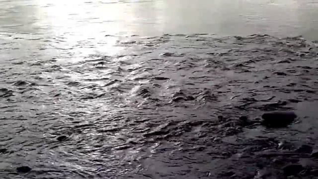 ловля лосося!!!
