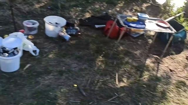 Рыбалка с ночевкой/Неожиданный подарок от хозяина водоема/Ночной клев/Мишка чемпион по рыбной ловле