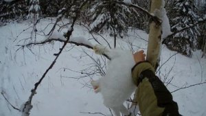 Удачная охота на зайца (профессора) с РПГ и ИЖ-18