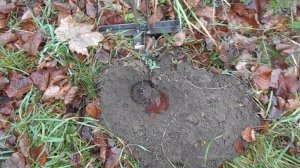 Как поймать крота. Кротоловка. Как избавиться от кротов.Кроты на участке. Кротобой. Видео № 6.