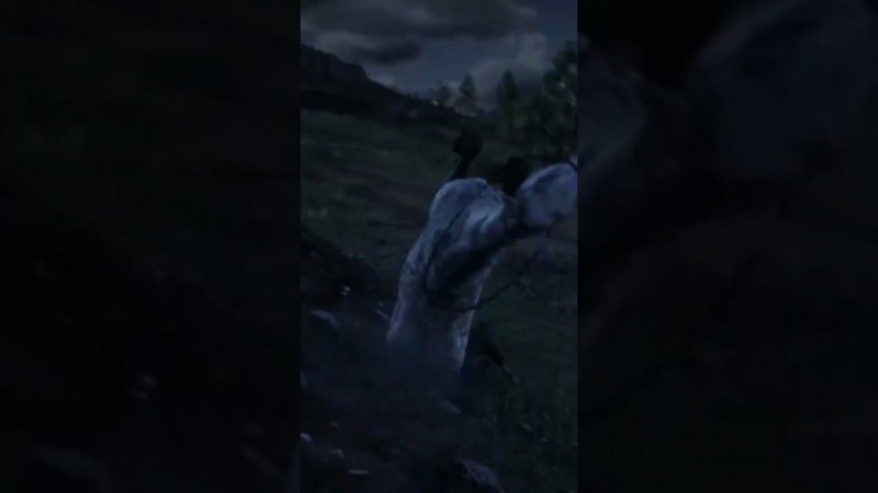 RDR2 Shorts