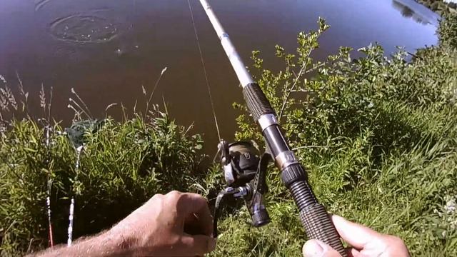 164. Караси под килограмм. Рыбалка в Тульской области на поплавочную удочку. Рыбалка в июле 2022. смотреть онлайн