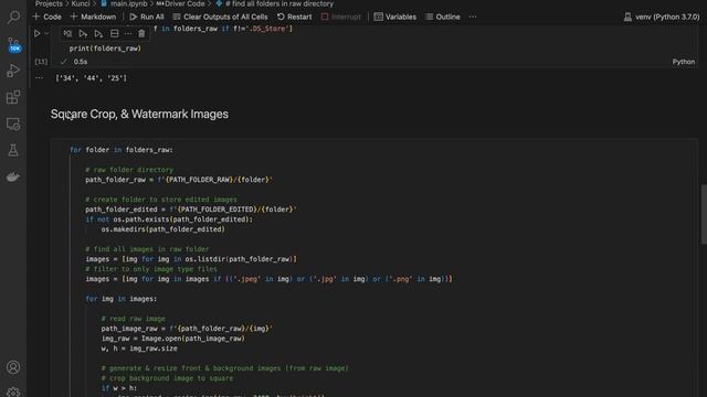 Images Watermark Generator (Python) смотреть онлайн