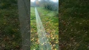 Раколовка дорожка /// Учебная Раколовка дорожка/// Раколовка дорожка для глубины.