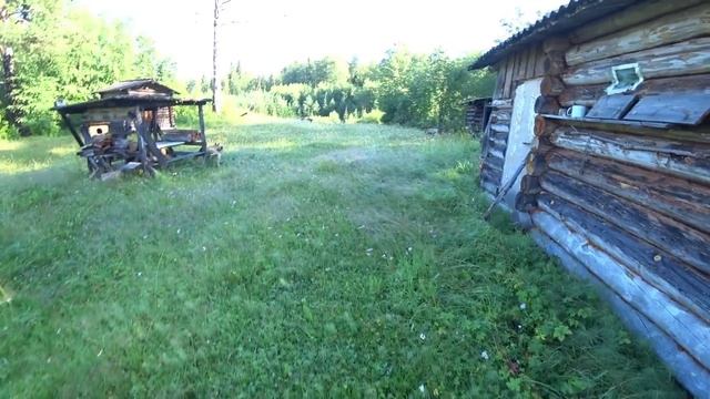 Еду в лесную избу на три дня. Какой - то зверёк заходил в избу?  1 серия /Поход Сенокос 2022/